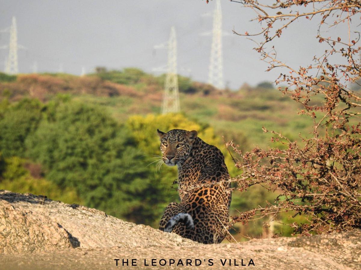 Jawai Leopard Villa Bijapur  Kültér fotó