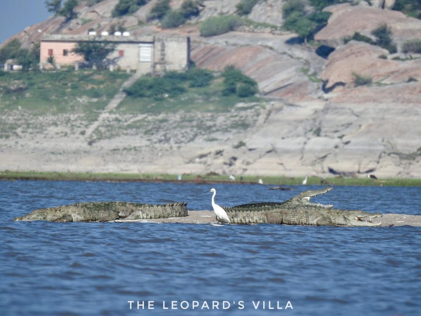 Jawai Leopard Villa Bijapur  Kültér fotó