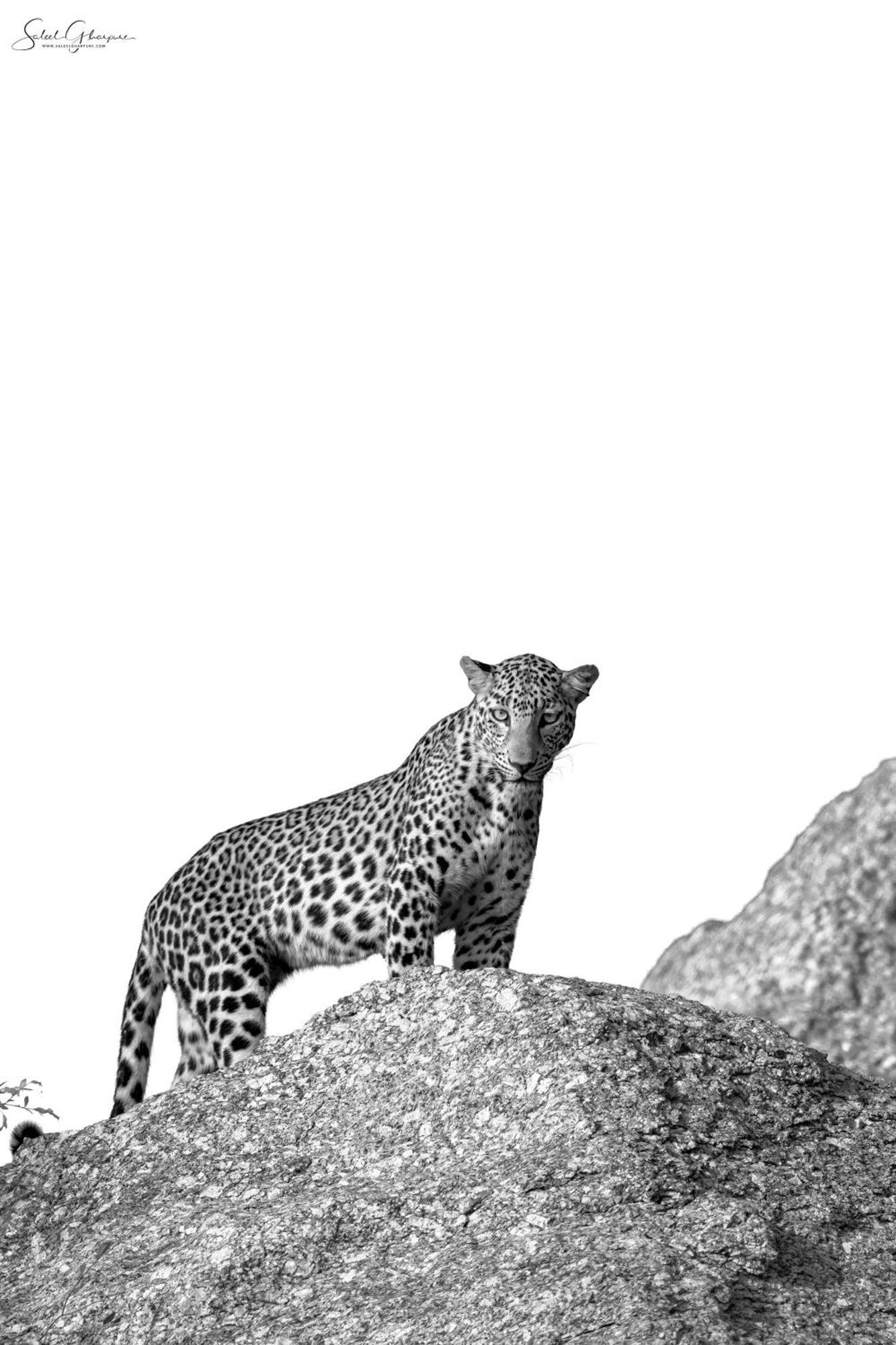 Jawai Leopard Villa Bijapur  Kültér fotó