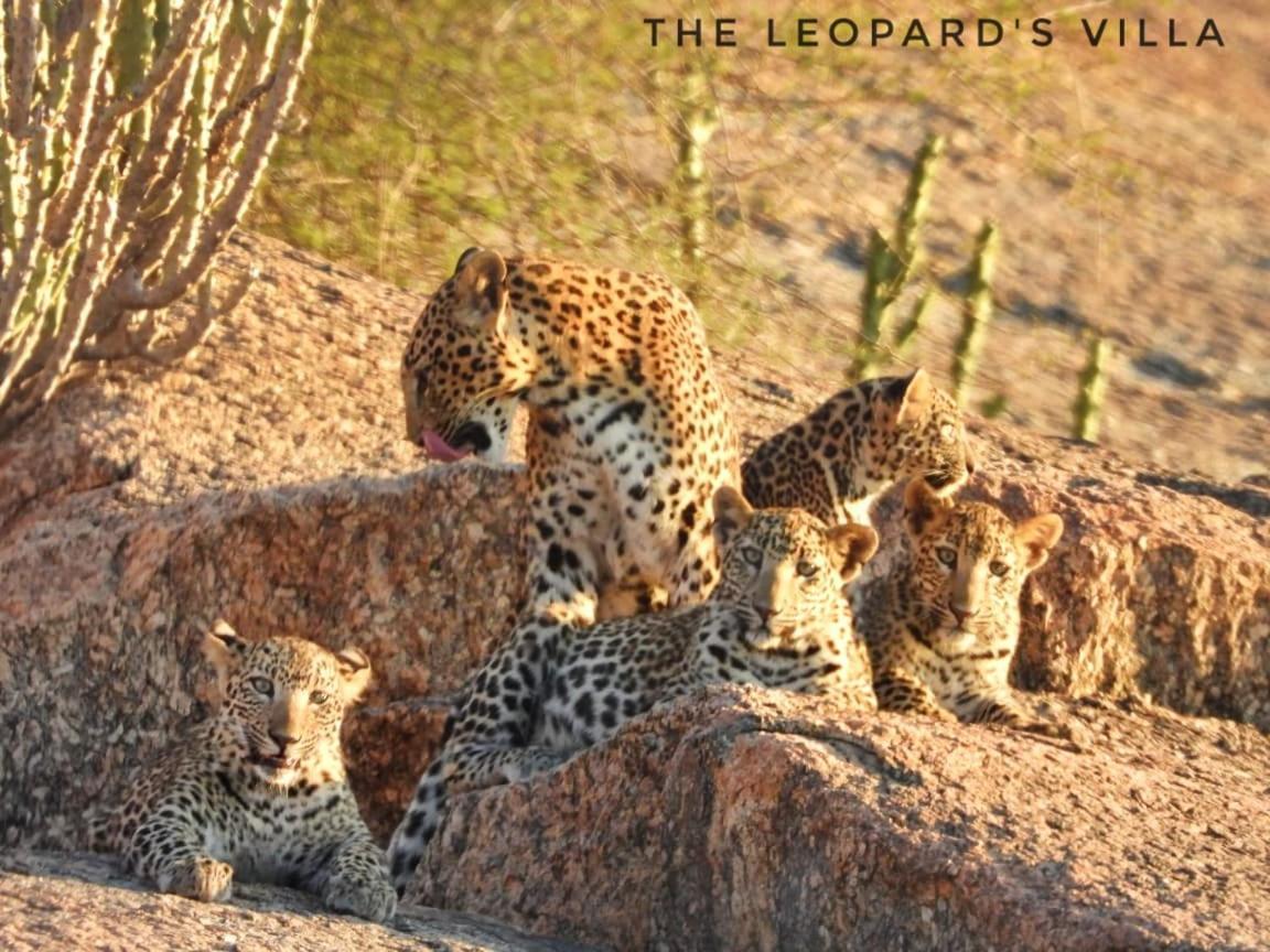 Jawai Leopard Villa Bijapur  Kültér fotó